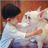 被判三妻四妾