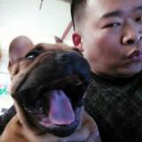 承诺生生世世的笑容