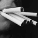 胡说八道的老白