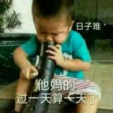 书友54242