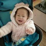 证书达人