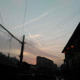 MR`羅
