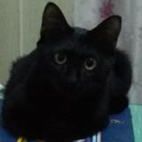  HNL二当家的