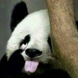 大眼皮双眼睛