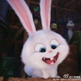 可爱