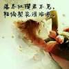 就这样吧