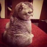 人贵有自知之明