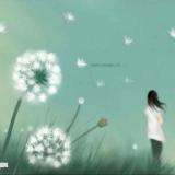 Lily