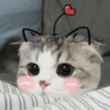 嗨网