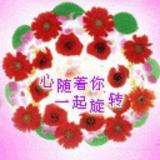 屌丝宅男