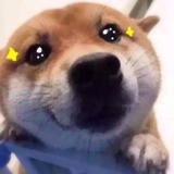 夜深人静时