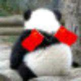 天才小熊猫