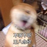 无月