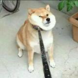 书友73001