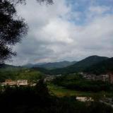 李海梅