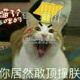 美羊羊是公deta有角