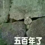 独书伤感小相思