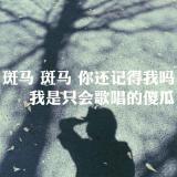 书友13645