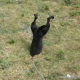 不懂不懂真的不懂