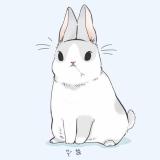 书友58241