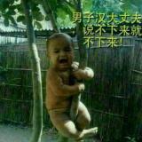 风叶