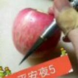 风中劲草