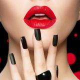 爱上天使的堕落鸟人