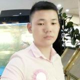 戰鬥 驴