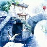 书友26571