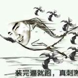 小杨哇！