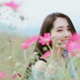 锡兰