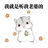 书友61979