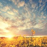 当河床开始回忆河流