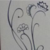 今晚上山抓老鼠