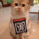 七年老书虫