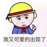 人生若只如初见