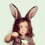兔子先生