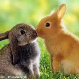 光光天冷怕风吹