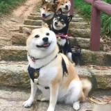 原来ず只是ち童言无忌@