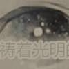 书友63253
