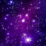 自己的路自己走￡