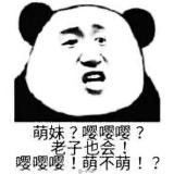 我是肥龙