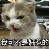 莫离