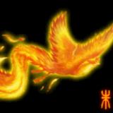 书友51715