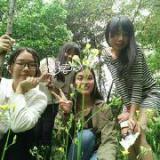 咕噜咕噜的傲慢