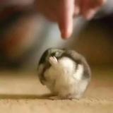 GOOD BOY