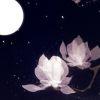 蜀中南安
