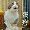 歌尽繁华