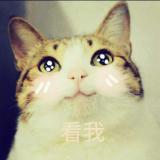醉生梦死