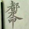 书友15526